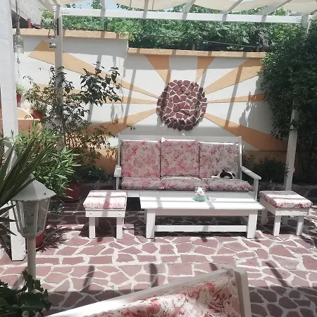 аnestievi 3*