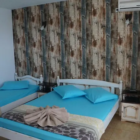 аnestievi 招待所