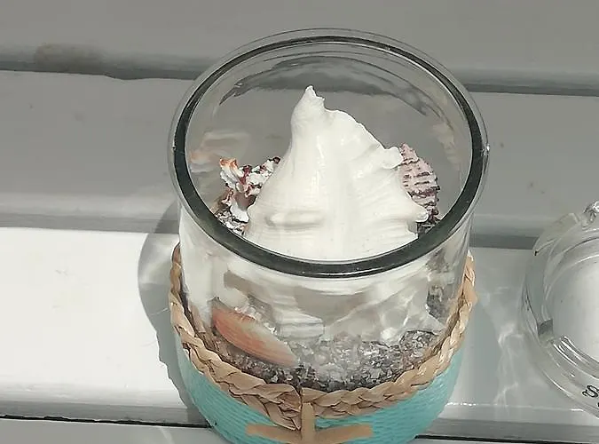 аnestievi Guest house